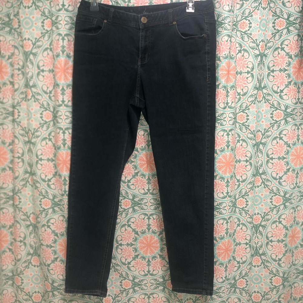 Lane Bryant Skinny Jeans